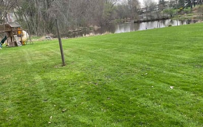 Photo of Mary Grace T.'s yard after getting lawn care in Wethersfield, CT
