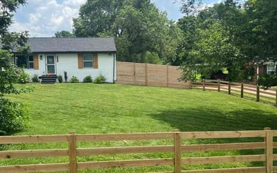 Photo of Michael L.'s yard after getting lawn care in Parkville, MD
