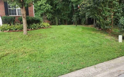 Photo of Angelo C.'s yard after getting lawn care in Kenly, NC