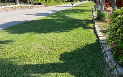 Photo of Brenda C.'s yard after getting lawn care in Venice, FL
