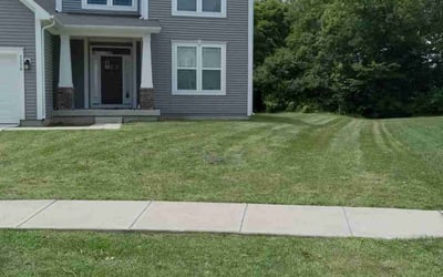 Photo of Liliane N.'s yard after getting lawn care in Plainfield, IN