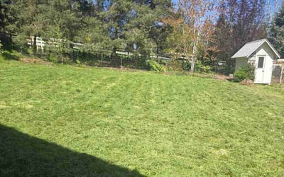 Photo of Markell B.'s yard after getting lawn care in Gladstone, OR