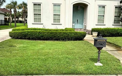 Photo of Brian V.'s yard after getting lawn care in Kenner, LA