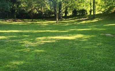 Photo of Omar C.'s yard after getting lawn care in Marlton, NJ