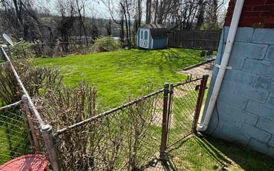 Photo of Lauren G.'s yard after getting lawn care in Pittsburgh, PA