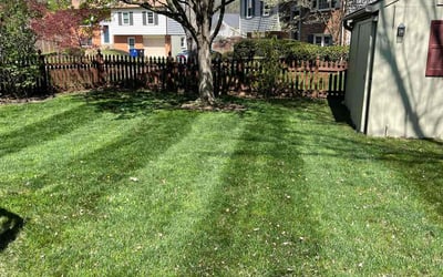 Photo of Michael B.'s yard after getting lawn care in Leesburg, VA