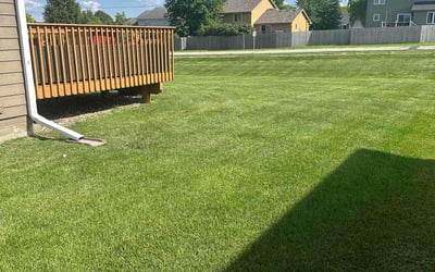 Photo of Jennifer N.'s yard after getting lawn care in Ankeny, IA