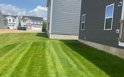 Photo of Delores G.'s yard after getting lawn care in Seville, OH