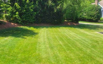Photo of Sean L.'s yard after getting lawn care in Wilmington, MA