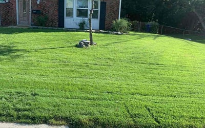 Photo of Lee W.'s yard after getting lawn care in Bowie, MD