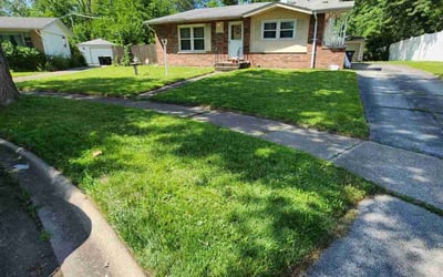Photo of Mary F.'s yard after getting lawn care in Lansing, IL