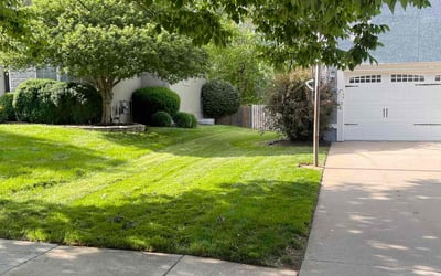 Photo of Randy T.'s yard after getting lawn care in Olathe, KS