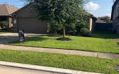 Photo of Mary M.'s yard after getting lawn care in Edinburg, TX