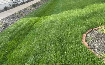 Photo of Mitzi M.'s yard after getting lawn care in Miami Gardens, FL