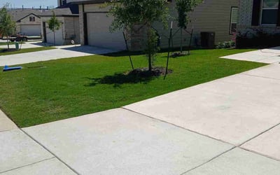 Photo of Ann N.'s yard after getting lawn care in San Antonio, TX