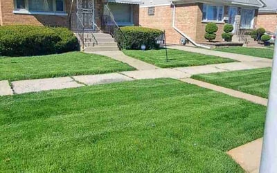 Photo of Stephen D.'s yard after getting lawn care in Bellwood, IL