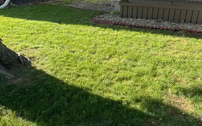 Photo of Khaatim B.'s yard after getting lawn care in Lansing, MI