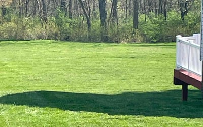 Photo of Scott F.'s yard after getting lawn care in Irwin, PA