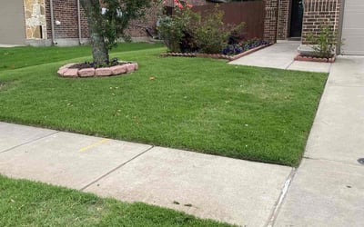 Photo of Mike C.'s yard after getting lawn care in Norwalk, CT