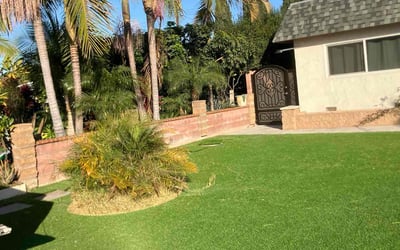 Photo of Angie H.'s yard after getting lawn care in Garden Grove, CA