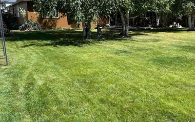 Photo of David W.'s yard after getting lawn care in Kennewick, WA