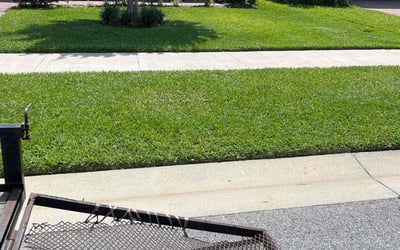 Photo of Rachel T.'s yard after getting lawn care in DeBary, FL
