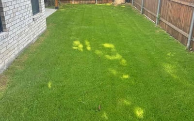 Photo of David H.'s yard after getting lawn care in Euless, TX