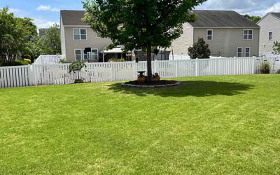 Photo of Keith J.'s yard after getting lawn care in Charlotte, NC
