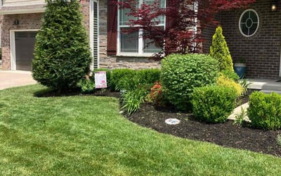 Photo of Claire K.'s yard after getting lawn care in Paris, KY