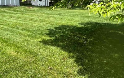 Photo of Charline B.'s yard after getting lawn care in Great Falls, VA