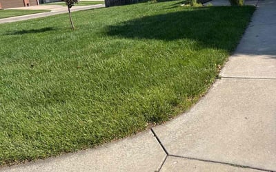 Photo of Micah G.'s yard after getting lawn care in Florence, KY