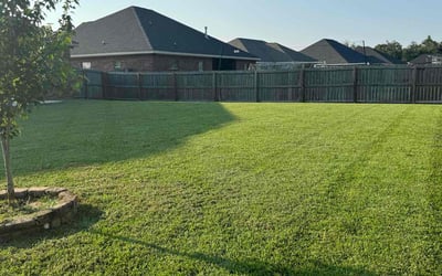 Photo of Steve S.'s yard after getting lawn care in Mobile, AL