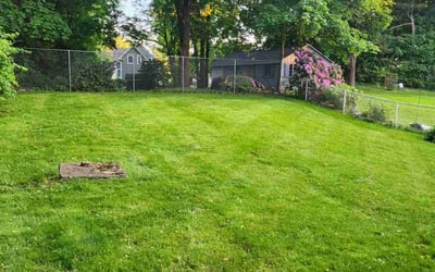 Photo of shaniah h.'s yard after getting lawn care in Franklin, MA