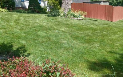 Photo of Brent P.'s yard after getting lawn care in Canton, OH