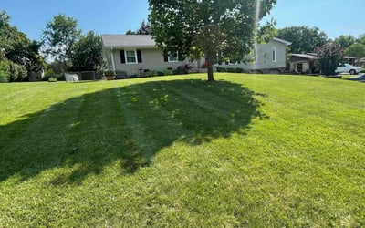 Photo of Asia M.'s yard after getting lawn care in Yorkville, IL