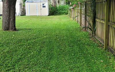 Photo of Ashley A.'s yard after getting lawn care in Ridgewood, NY