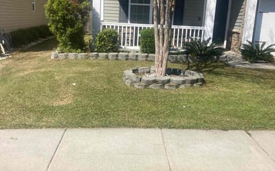 Photo of Stephen M.'s yard after getting lawn care in Mesa, AZ