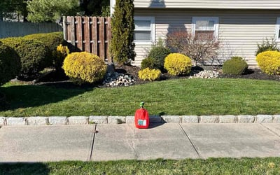 Photo of Roeun M.'s yard after getting lawn care in Union City, NJ