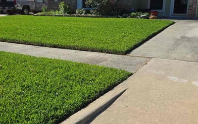 Photo of Brian V.'s yard after getting lawn care in Hauppauge, NY