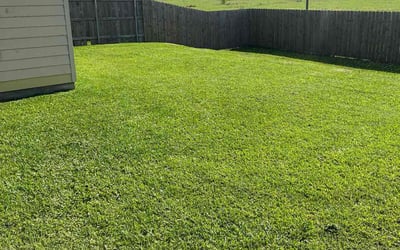 Photo of Darryl G.'s yard after getting lawn care in Breaux Bridge, LA