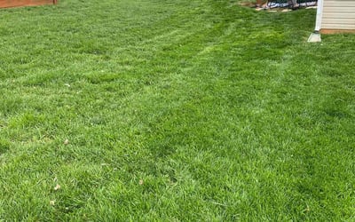 Photo of Jillian A.'s yard after getting lawn care in Morganton, NC