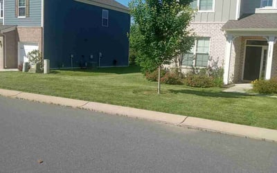 Photo of Talita B.'s yard after getting lawn care in Marshall, NC