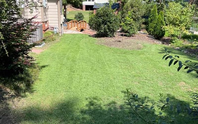Photo of Peter N.'s yard after getting lawn care in Benson, NC