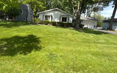 Photo of Sandra E.'s yard after getting lawn care in Zeeland, MI