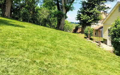 Photo of Chalice S.'s yard after getting lawn care in Dumfries, VA