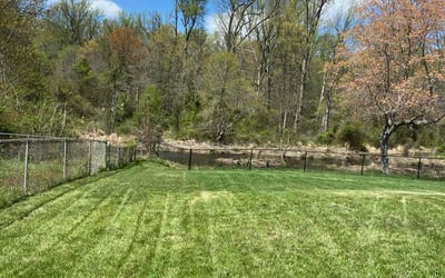Photo of JS L.'s yard after getting lawn care in Waldorf, MD