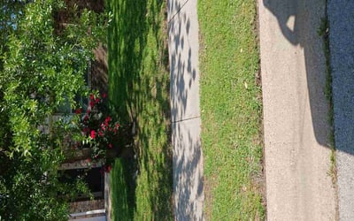 Photo of Cindy L.'s yard after getting lawn care in Saginaw, TX