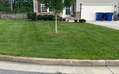 Photo of Jeannette G.'s yard after getting lawn care in Chesterfield, VA