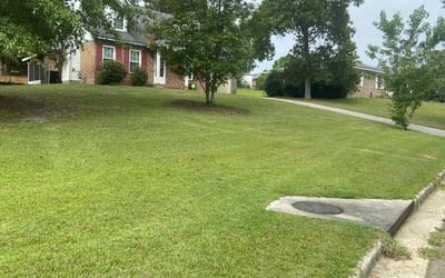 Photo of Andrea M.'s yard after getting lawn care in Hephzibah, GA