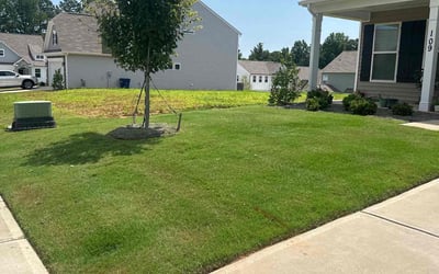 Photo of Jimi S.'s yard after getting lawn care in Statesville, NC